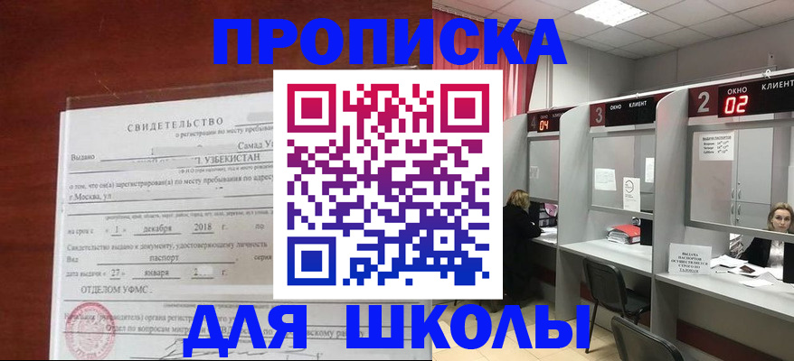 где прописаться в Светлогорске