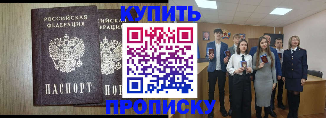 прописка гарантия в Светлогорске